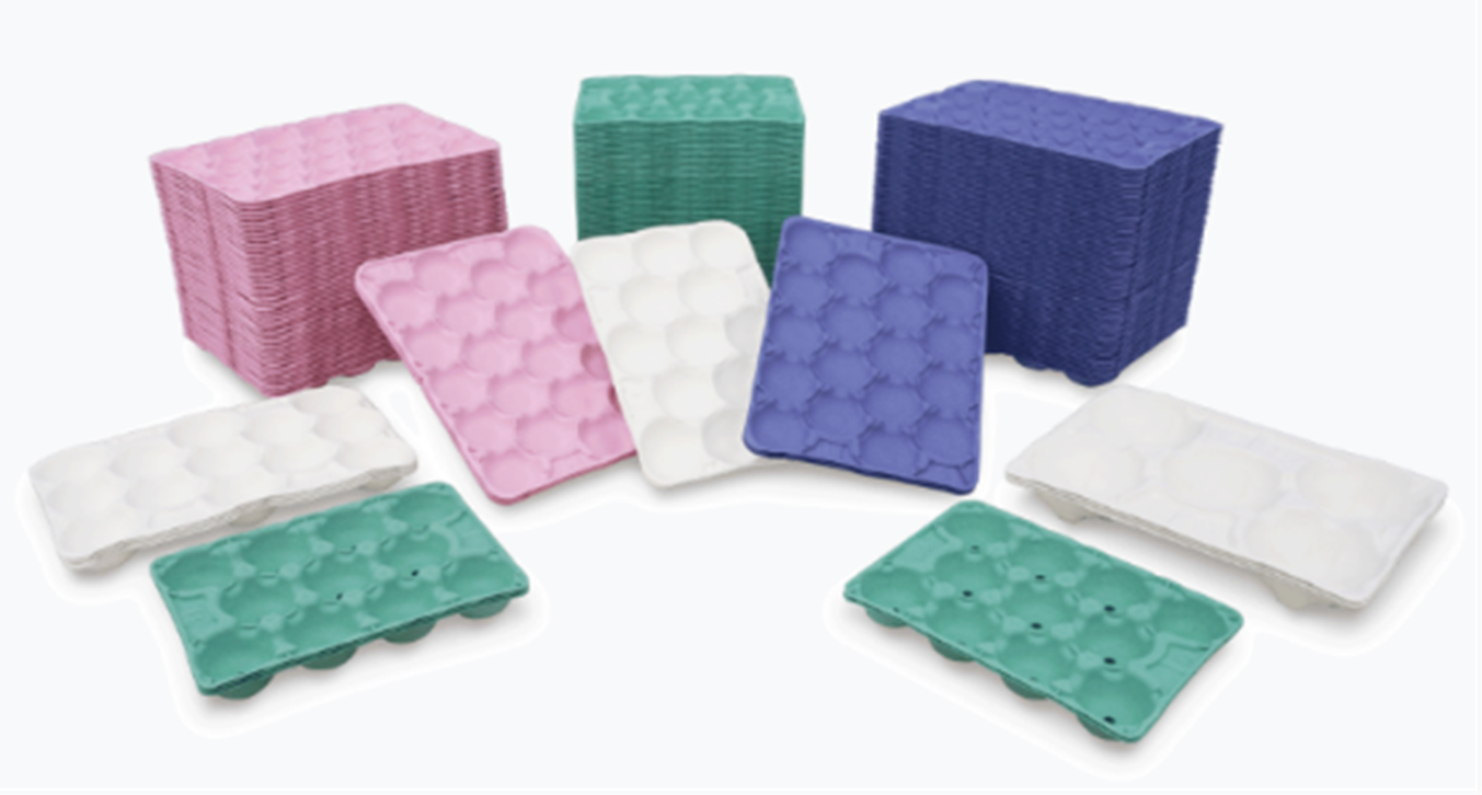 Pulp‑molded fruit tray