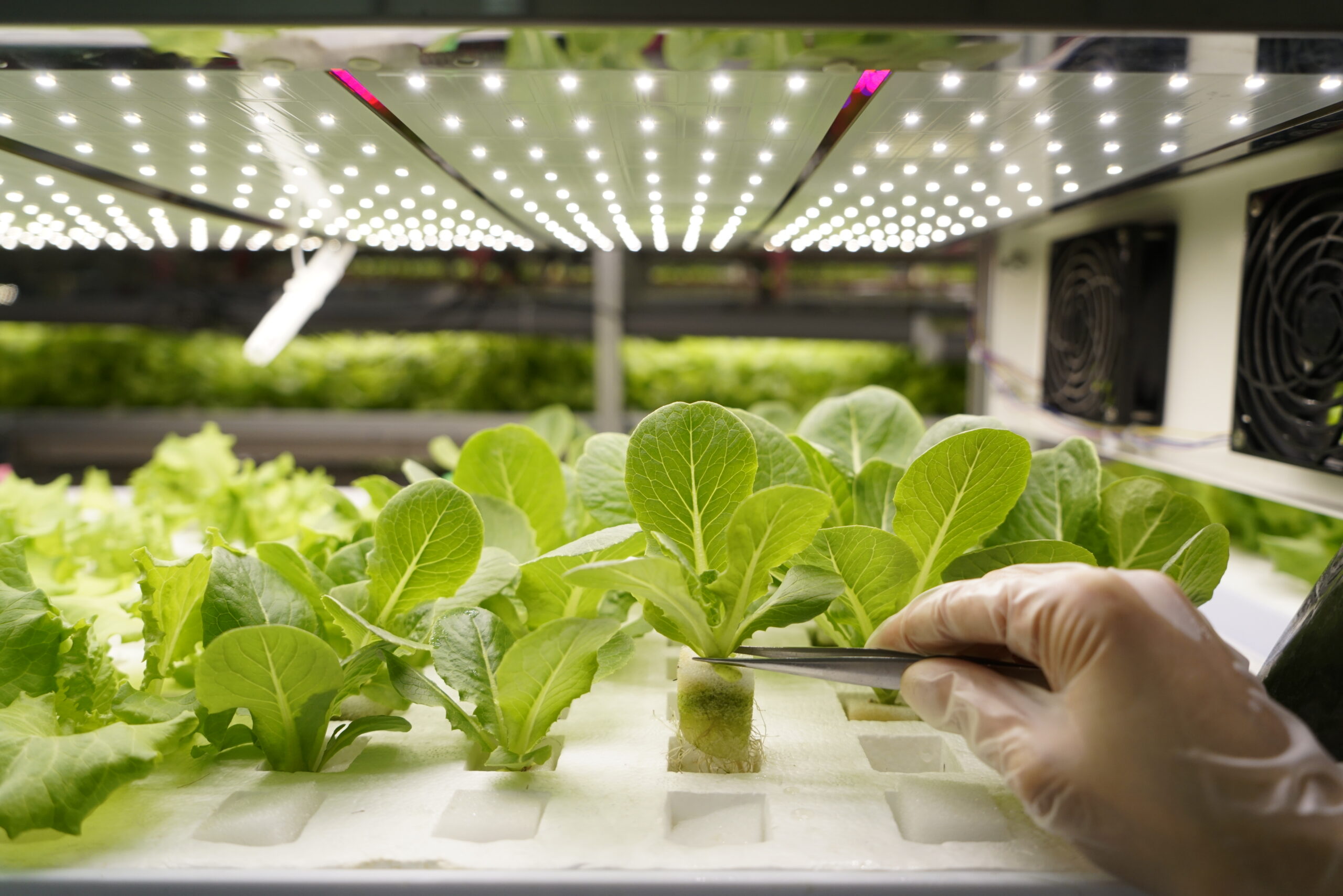 Cultivation Technology System